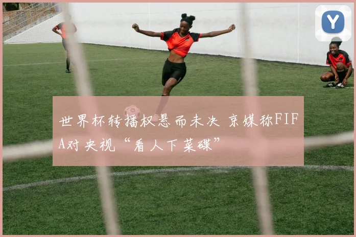 世界杯转播权悬而未决 京媒称FIFA对央视“看人下菜碟”